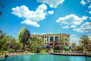 新春特惠 10套特價房最后一周