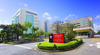 為何華為不自造芯片，連蘋(píng)果、高通也依賴國(guó)產(chǎn)巨頭代工？